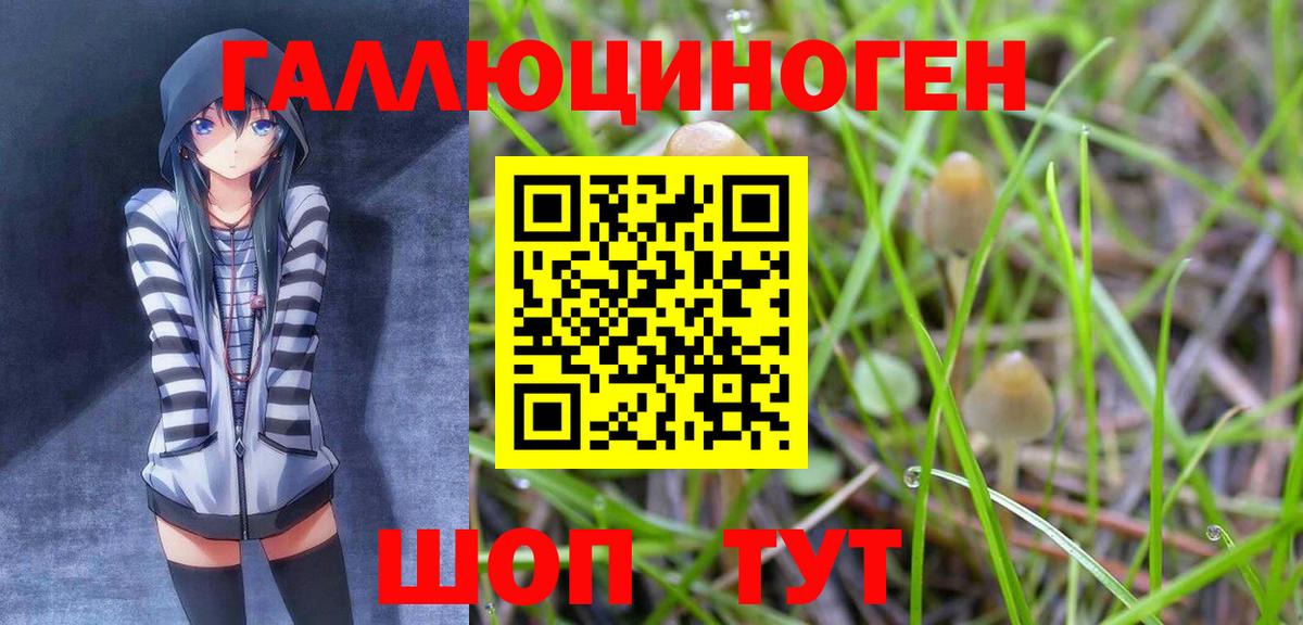 Псилоцибиновые грибы MAGIC MUSHROOMS  Вход с VPN  наркотики  Белогорск 